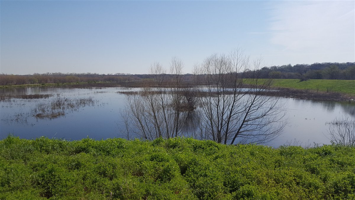 Freshwater lake landscape from the Xu Lab’s original website